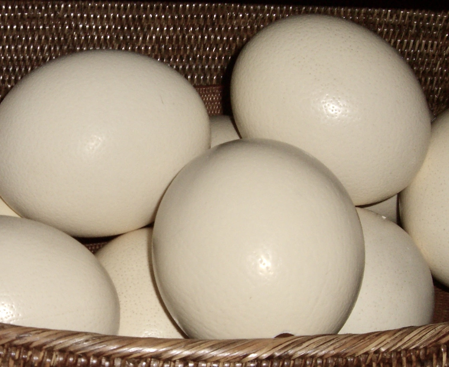 Ostrich Egg I – Zachary Ltd.