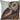 Natural History Owl Pillow
