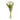 White Real Touch Tulips, Bundle of 6, 13"L