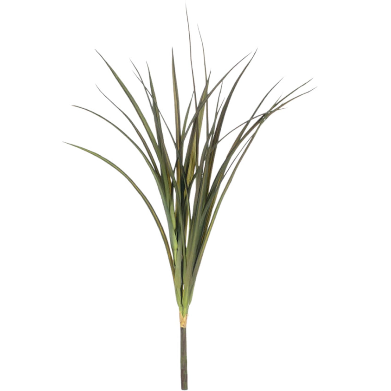 Grass Spray, 26"h