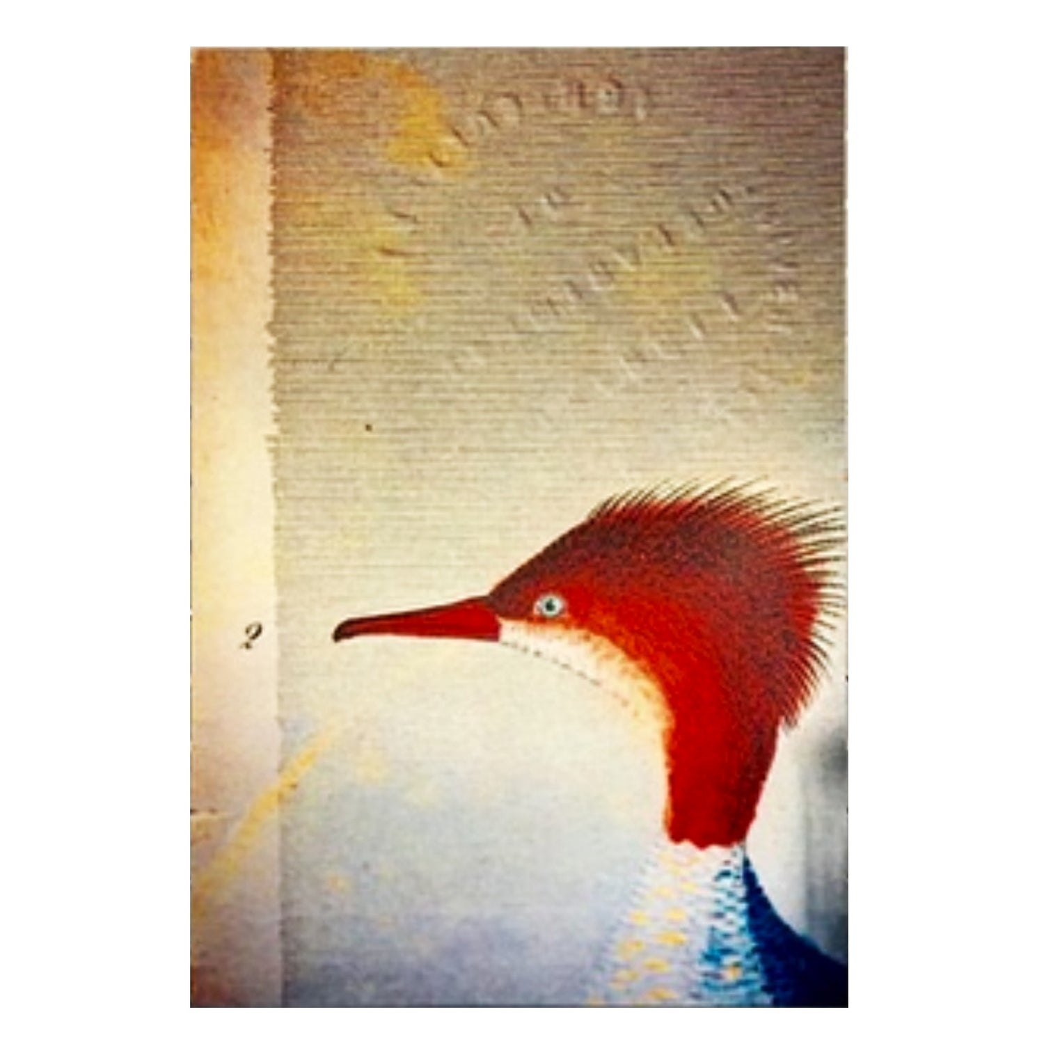Oliver, North American Birds, Andersen Horticultural Library, Natasha D'Schommer, Photograph on Aluminum