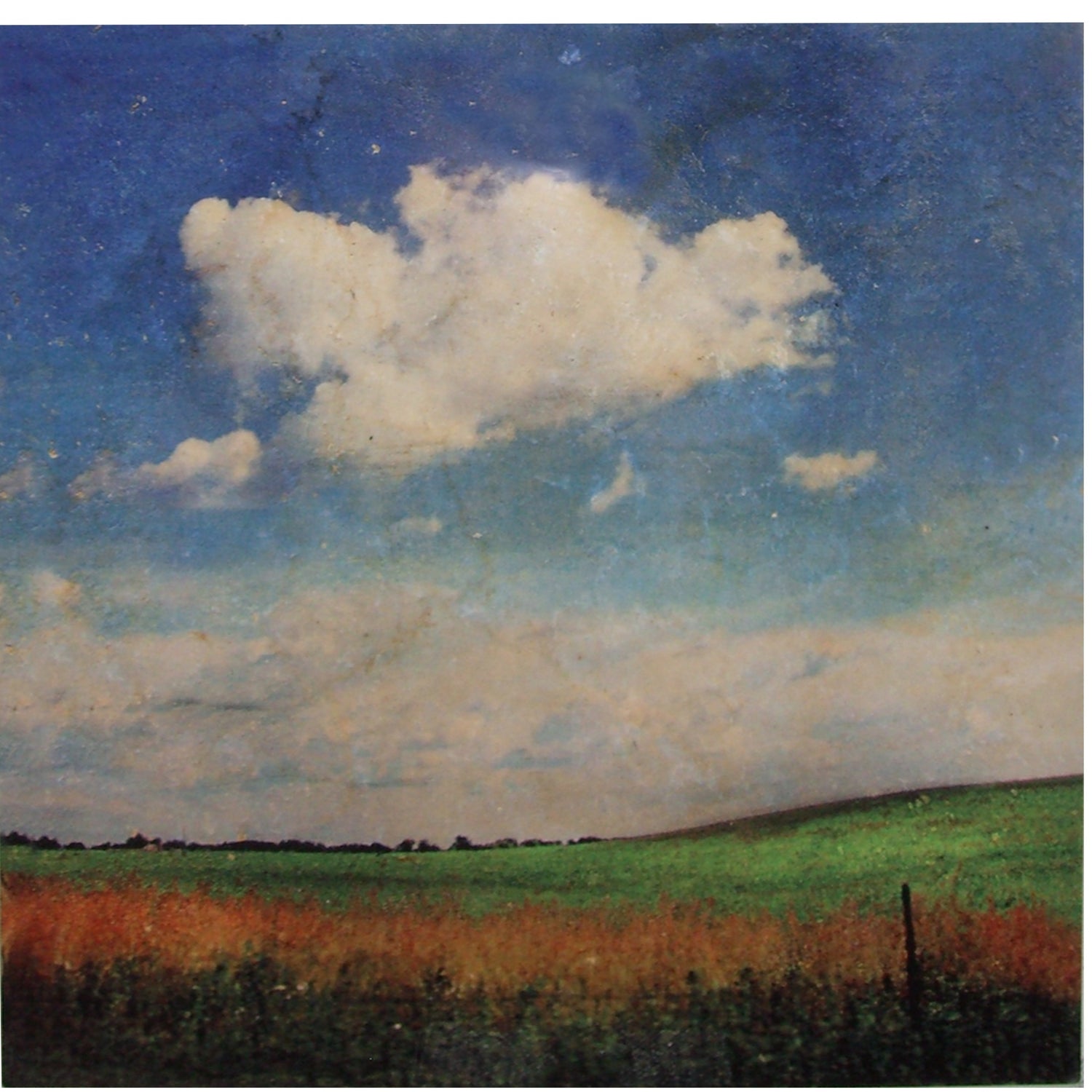 Minnesota Landscape with Clouds, Natasha D'Schommer, Photograph on Aluminum