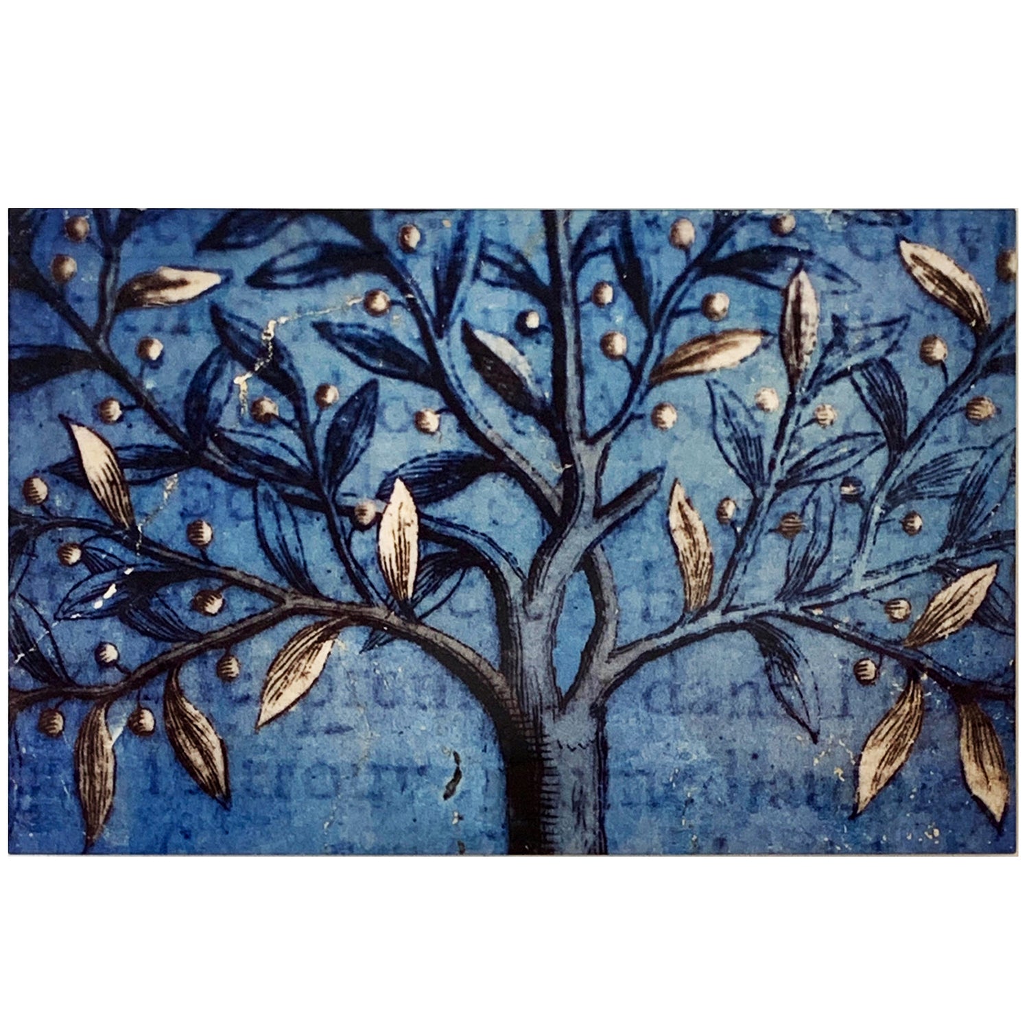 Tree of Life, Natasha D'Schommer, Photograph on Aluminum
