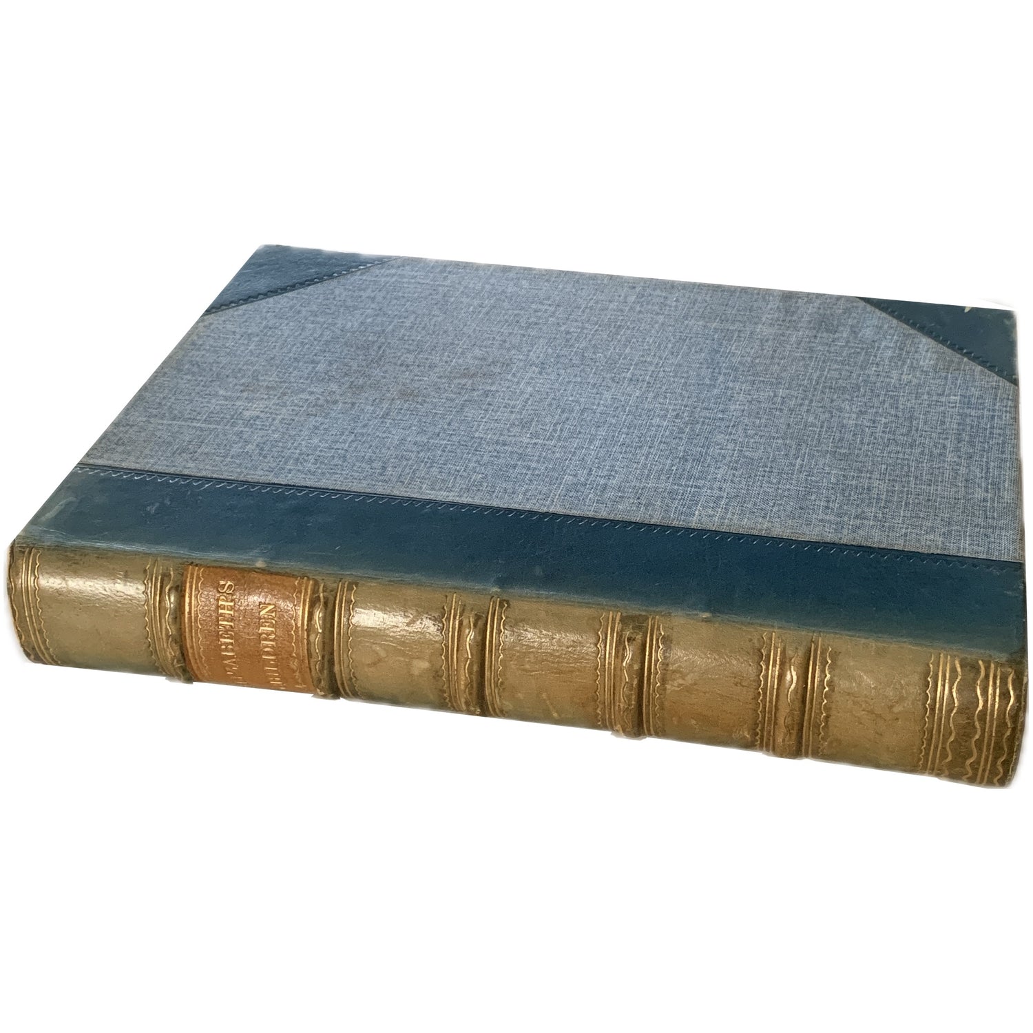 Book: Elizabeth's Children, 1903, London