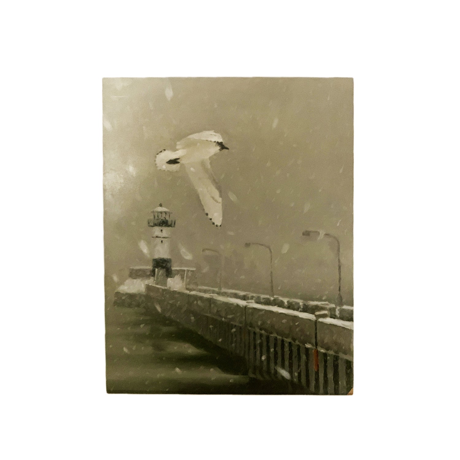 Ivory Gull (from Arctic Circle) Rare Sighting at Duluth Harbor, signed Joel Pieper, Oil on Board, 2016