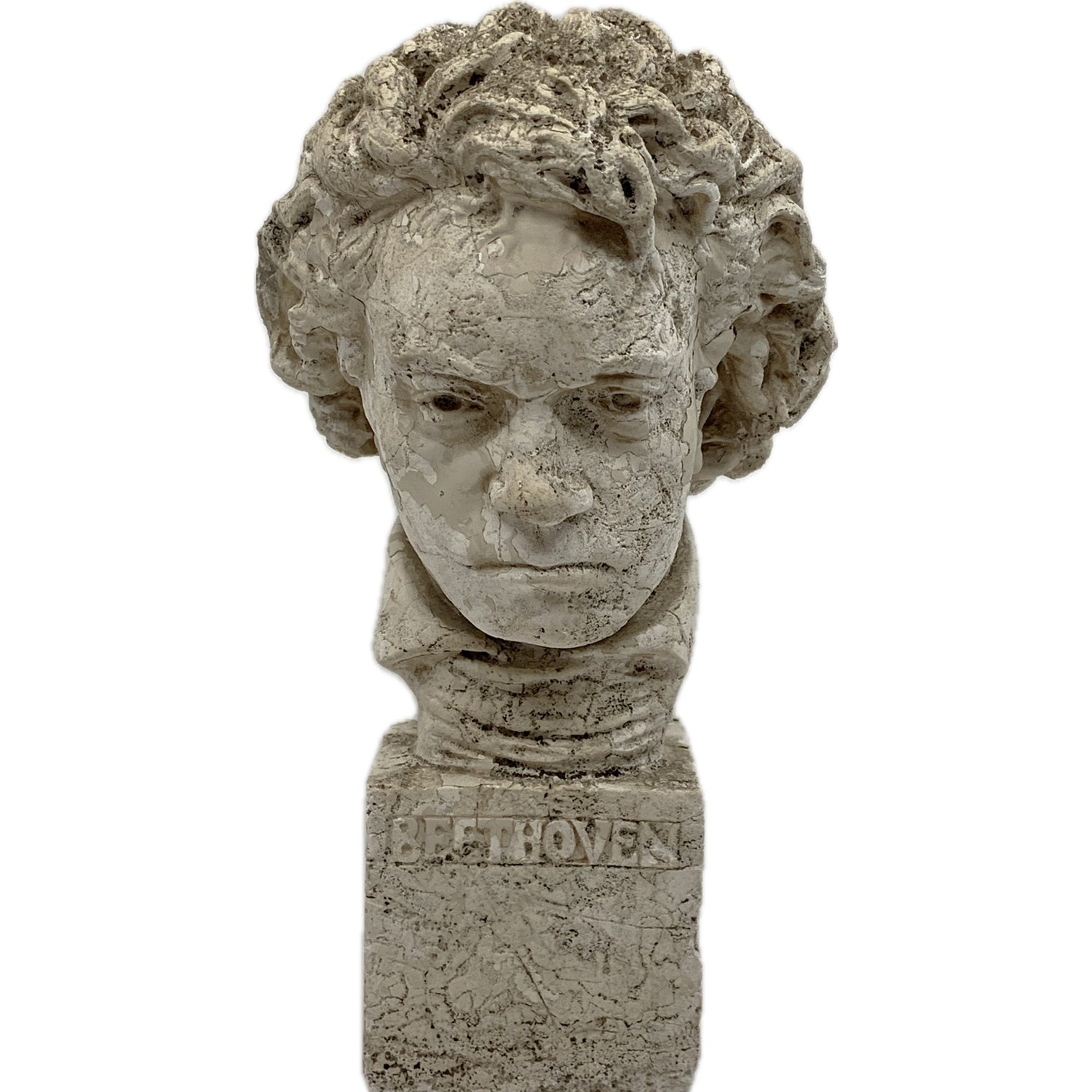 Beethoven Plaster Bust (as found)