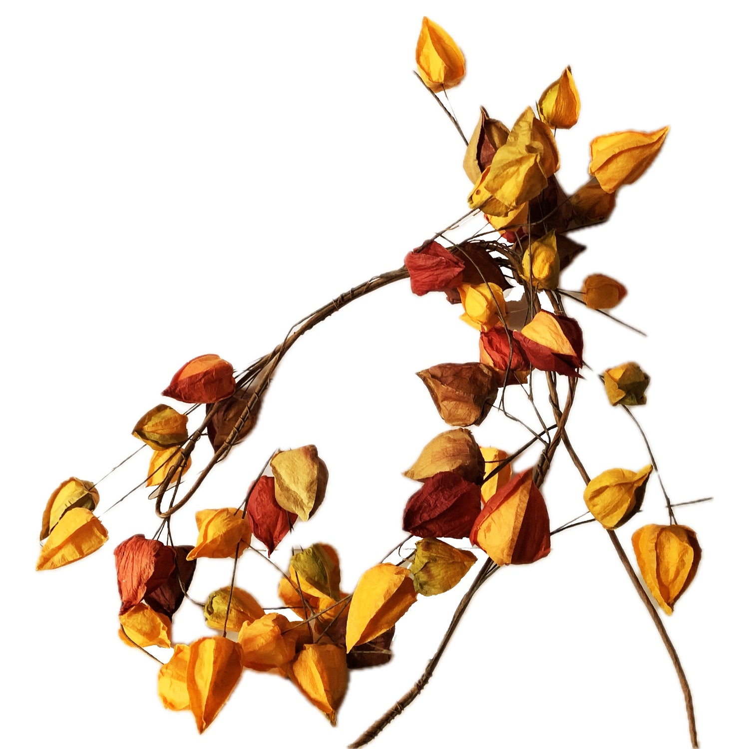 Japanese Lantern Garland, 5'