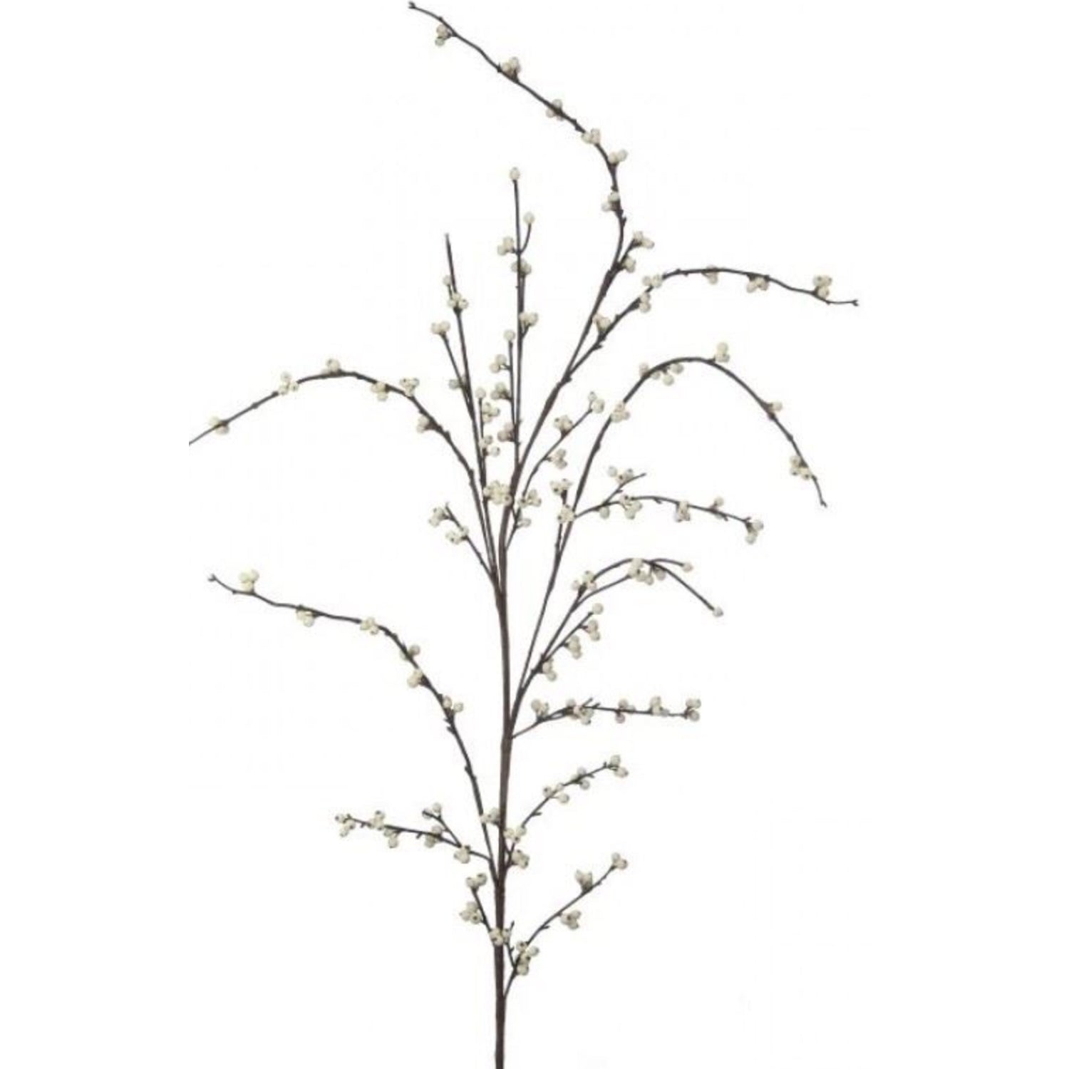 Wild Berry Ilex, 62"h