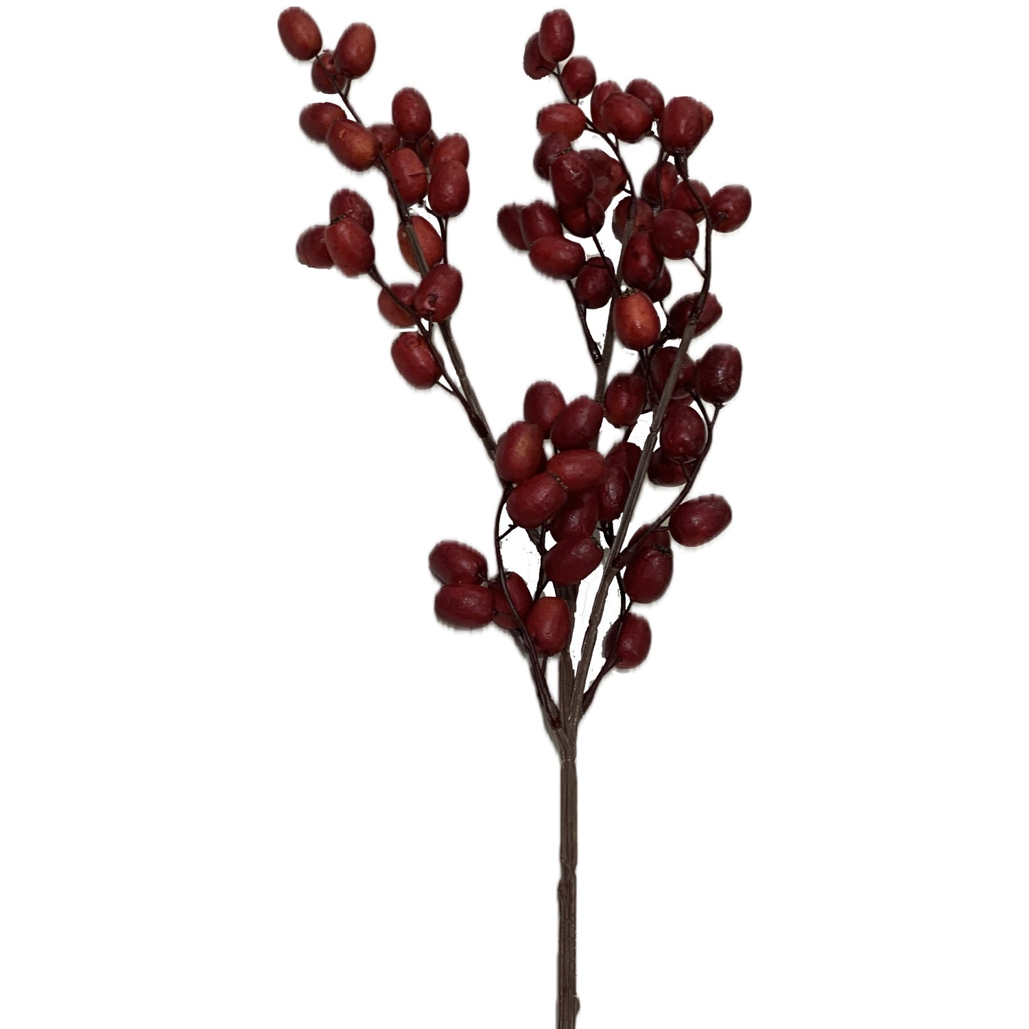Burgundy Berry Spray