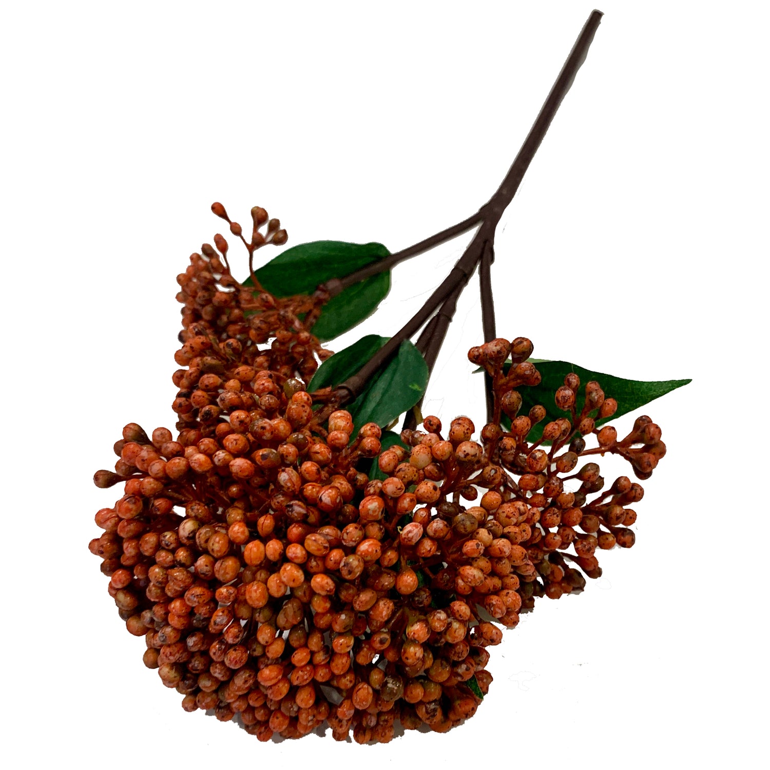 Sedum Spray, Cinnamon, 16.5"