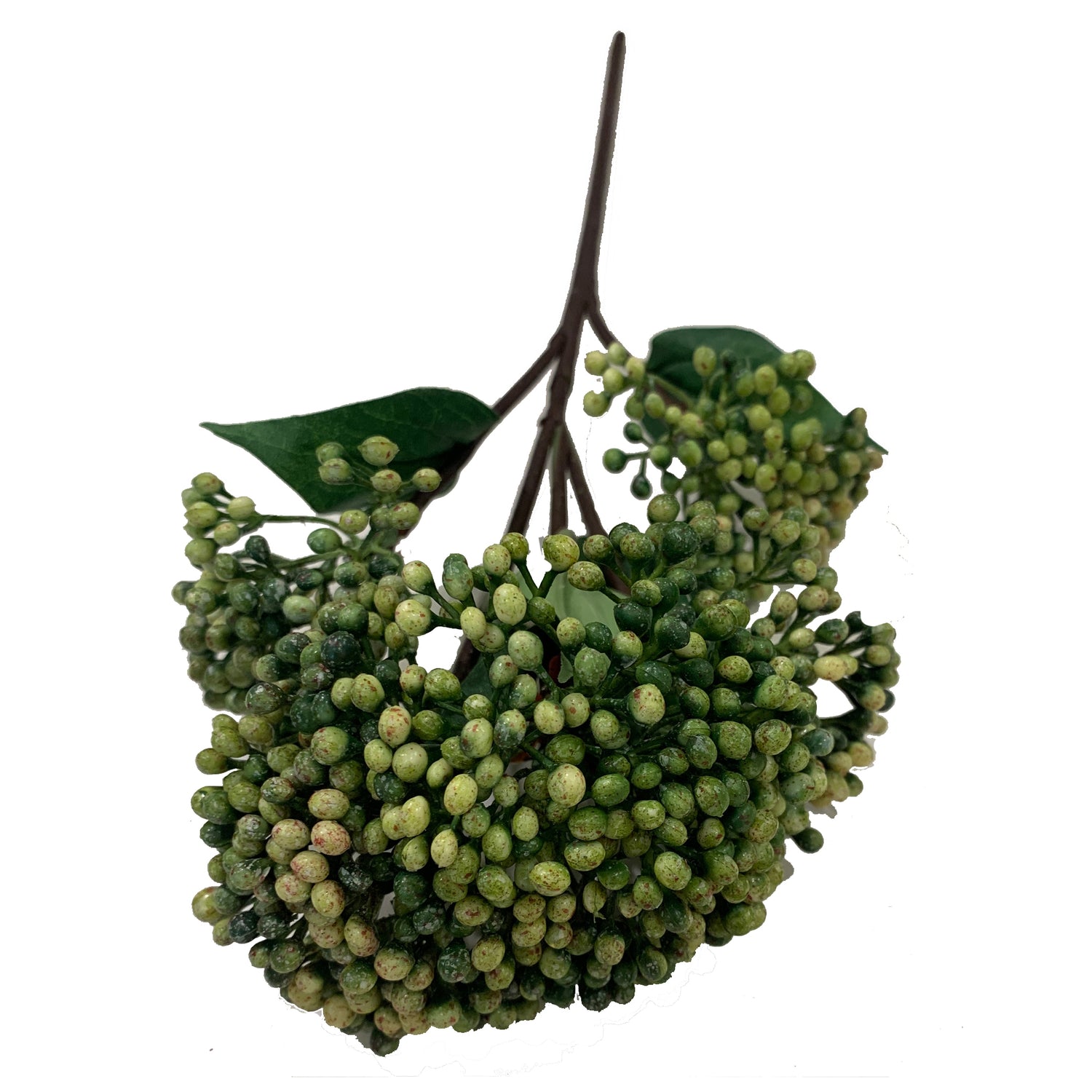 Sedum Spray, Green, 16.5"