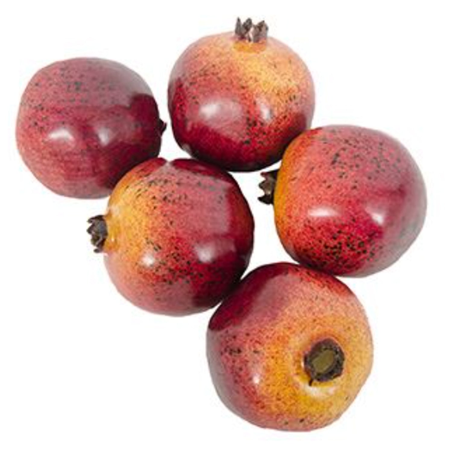 Pomegranate, 4"