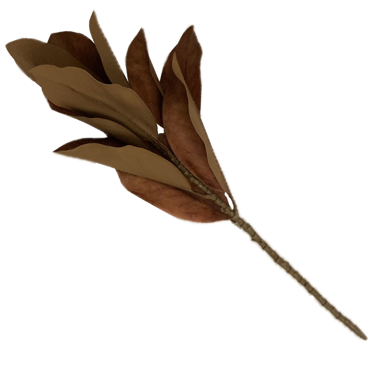 Fall Magnolia Leaf Stem, 21.5"