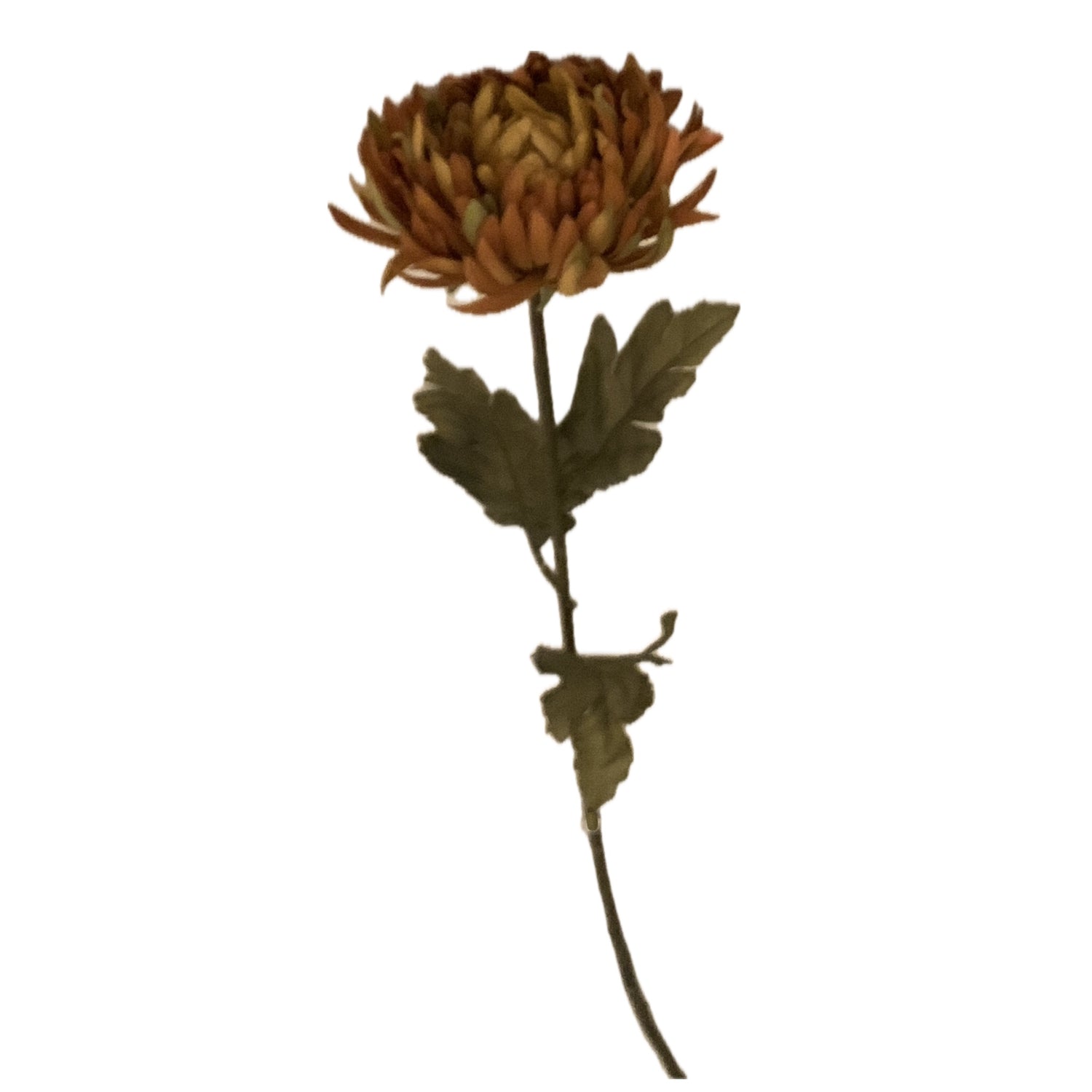Fall Mum, Gold, 30"