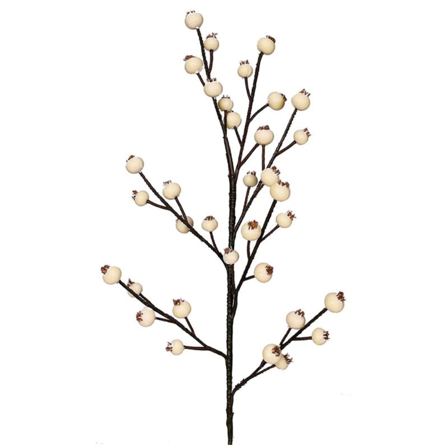 Huckleberry Spray, 18", Cream