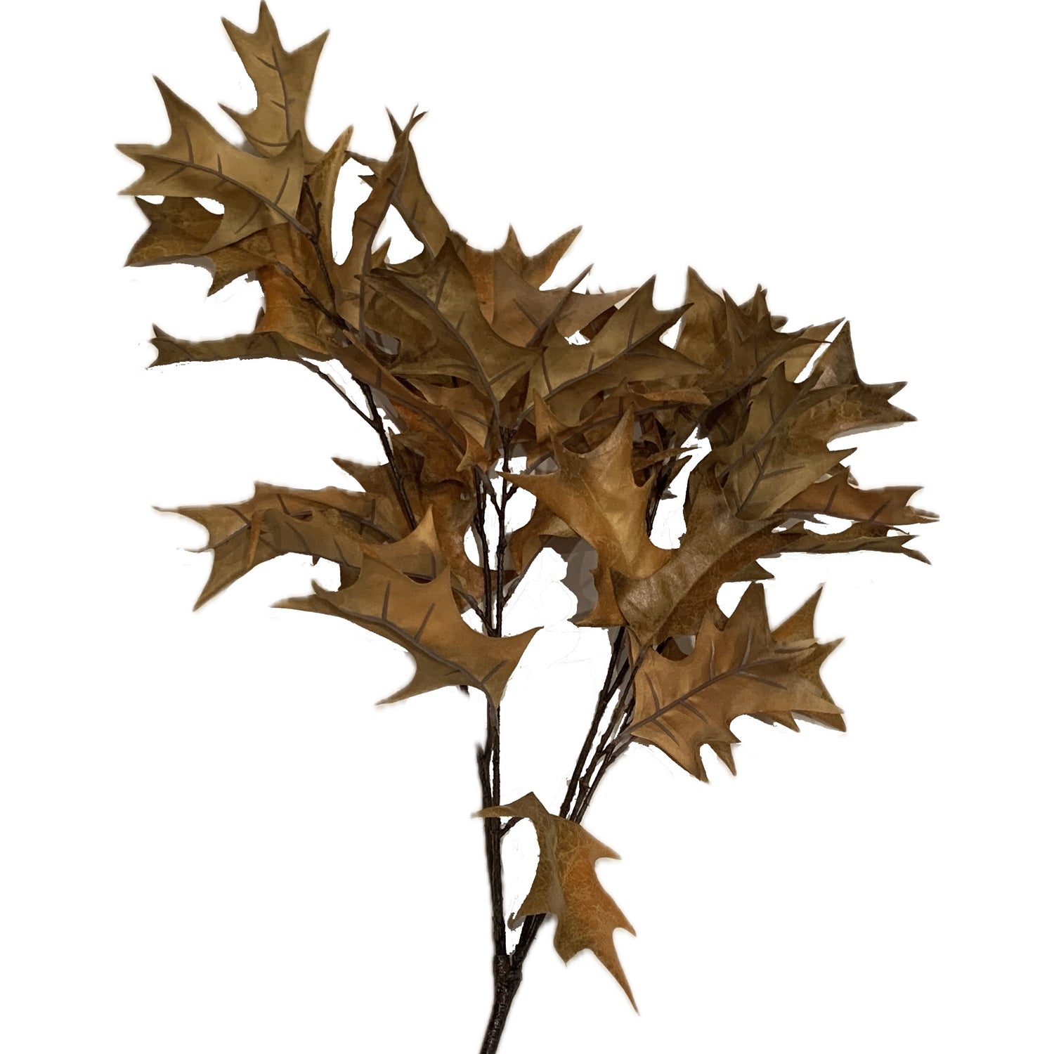 Autumn Holly Leaf Stem, 32"