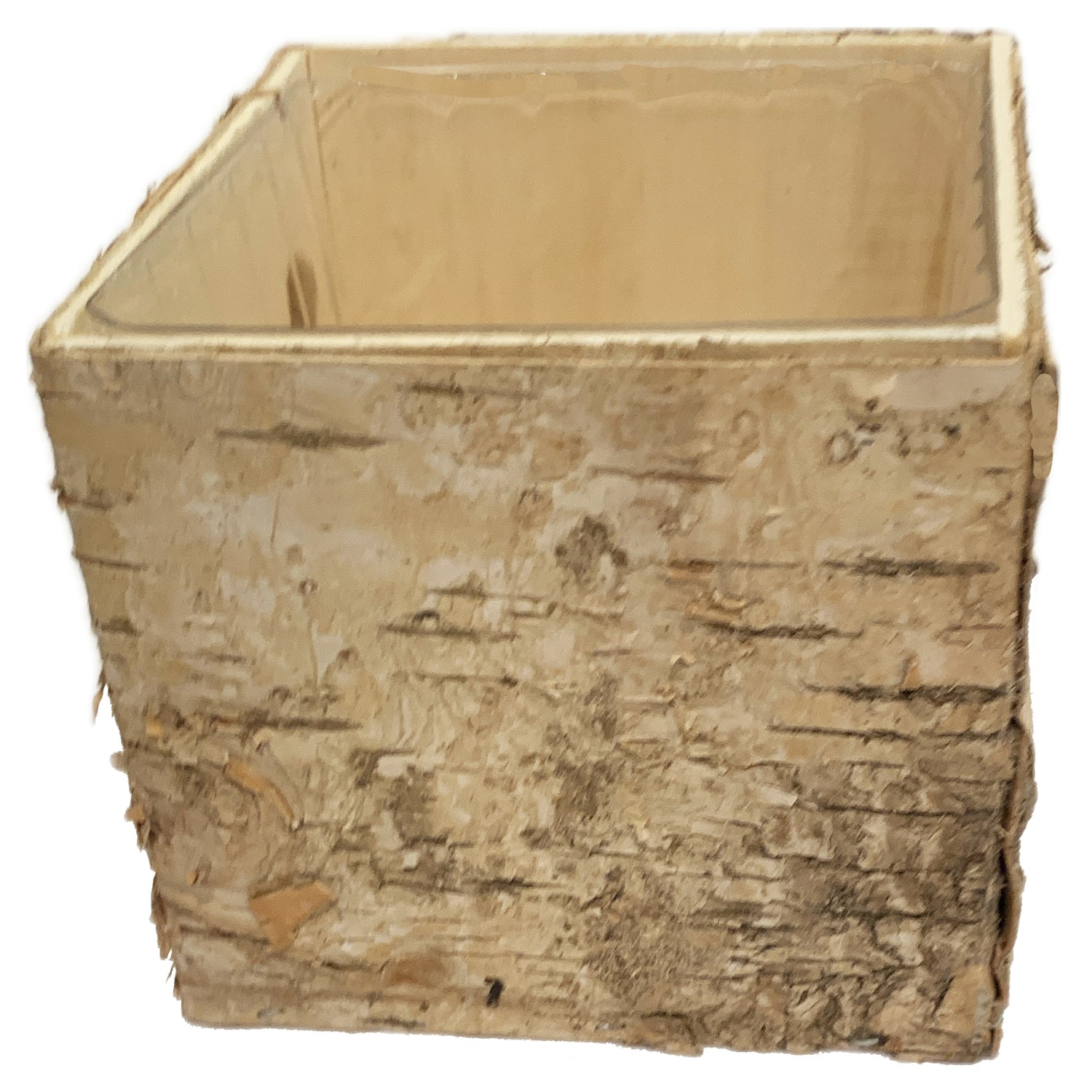 Birch Pot, 4.75"sq.