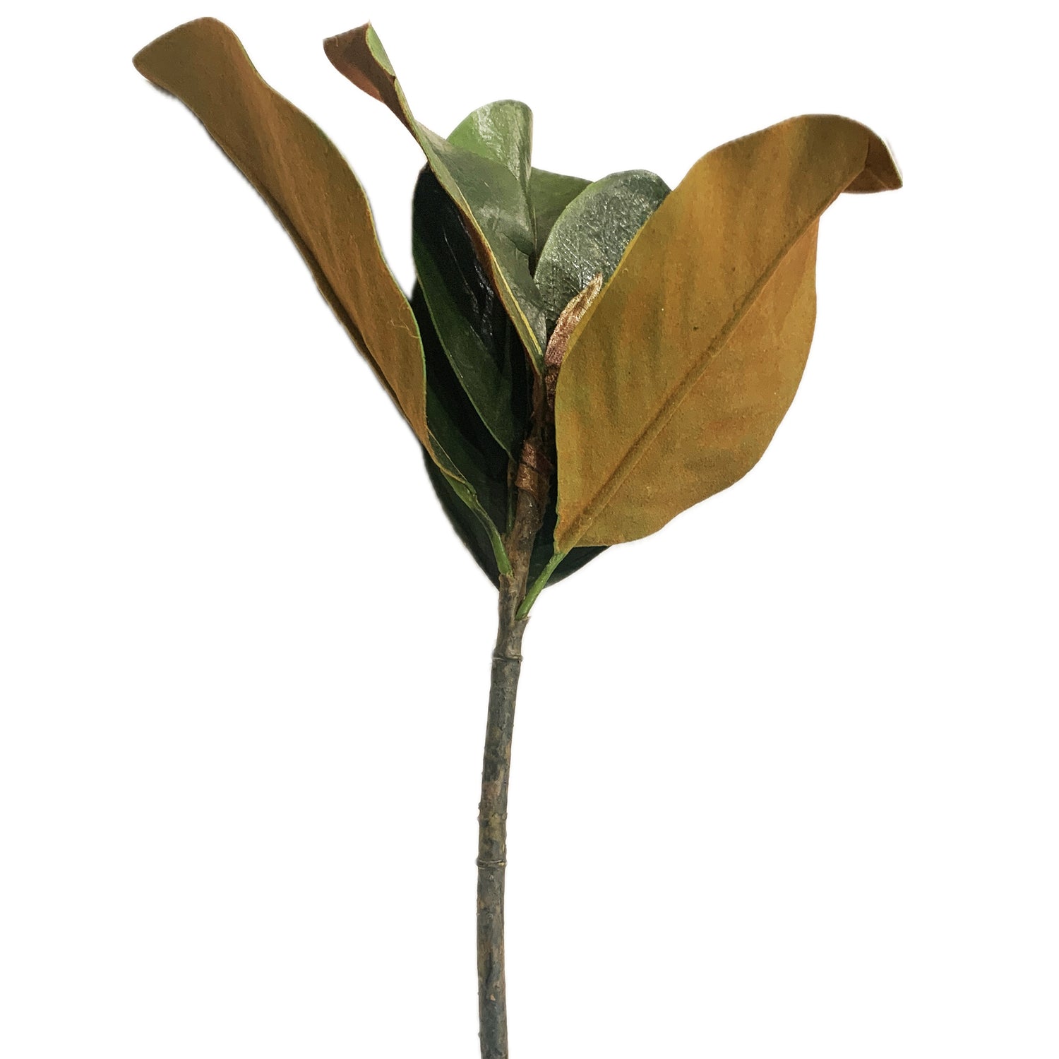 Magnolia Leaf Pick, Green, 14"