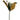 Magnolia Leaf Pick, Green, 14"