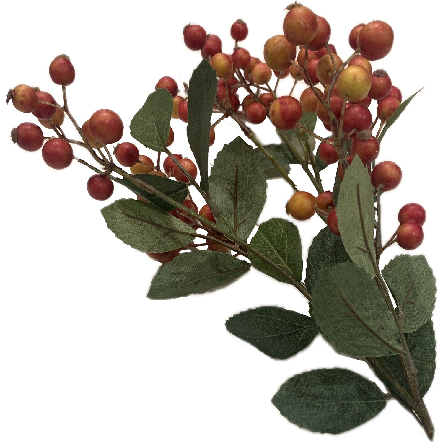 Berry Stem, Coral, 28"