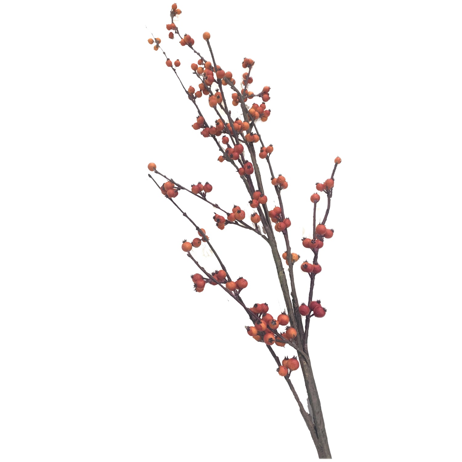 Orange Berry Branch, 50"