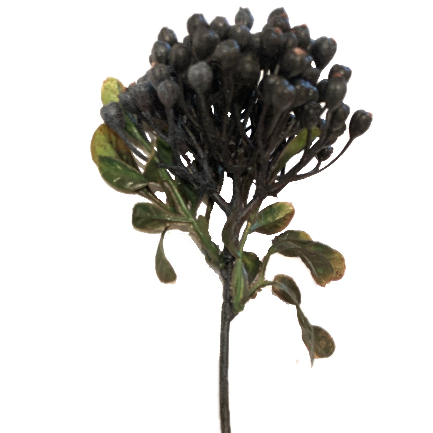 Cottage Berry Stem, 13"h