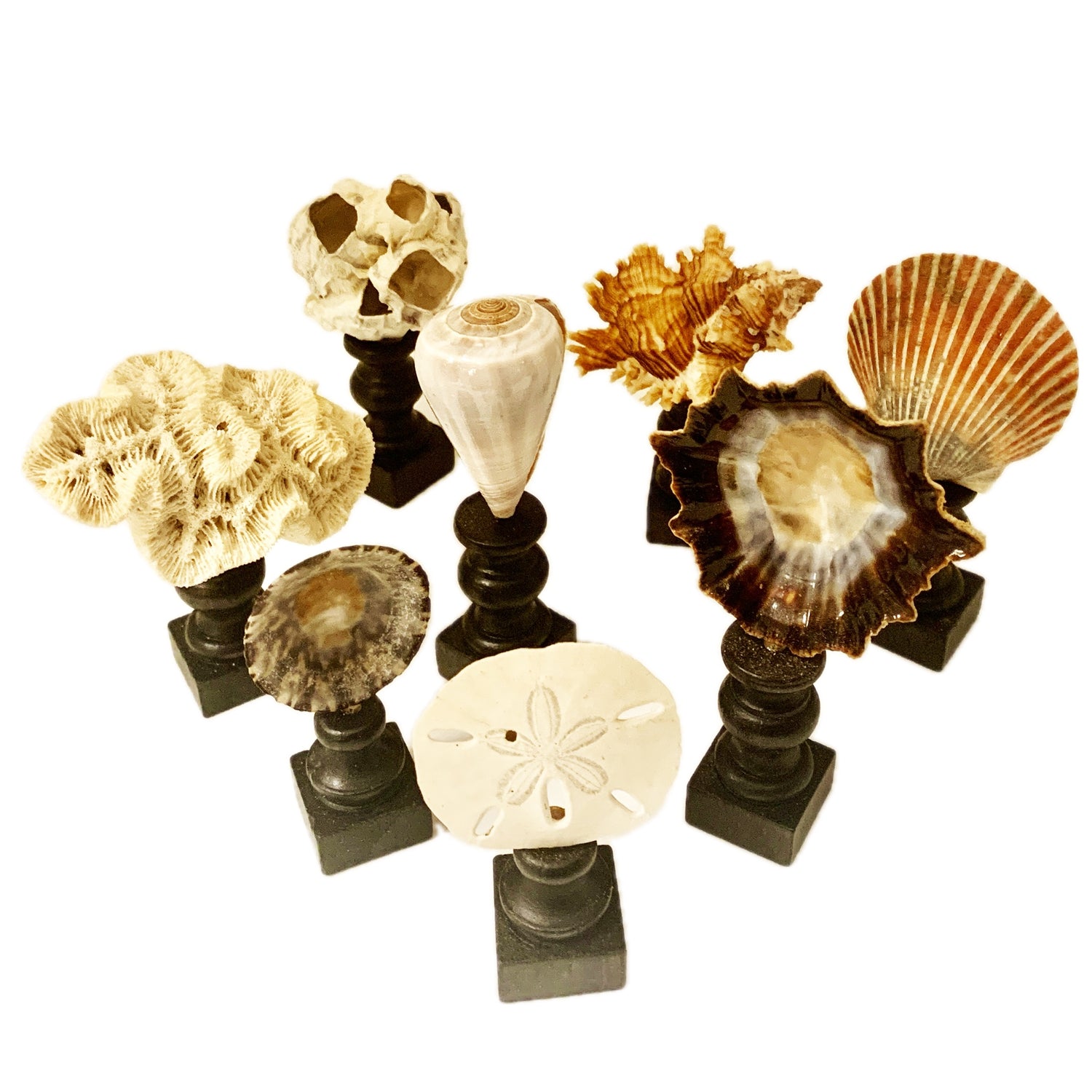 Sea Shell or Coral on Pedestal