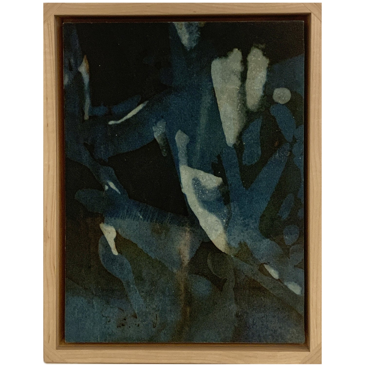 Aster, Emily Donovan, Natural Dye and Pigment on paper including Madder Root, Lac, Sumac and Indigo, Framed in Maple