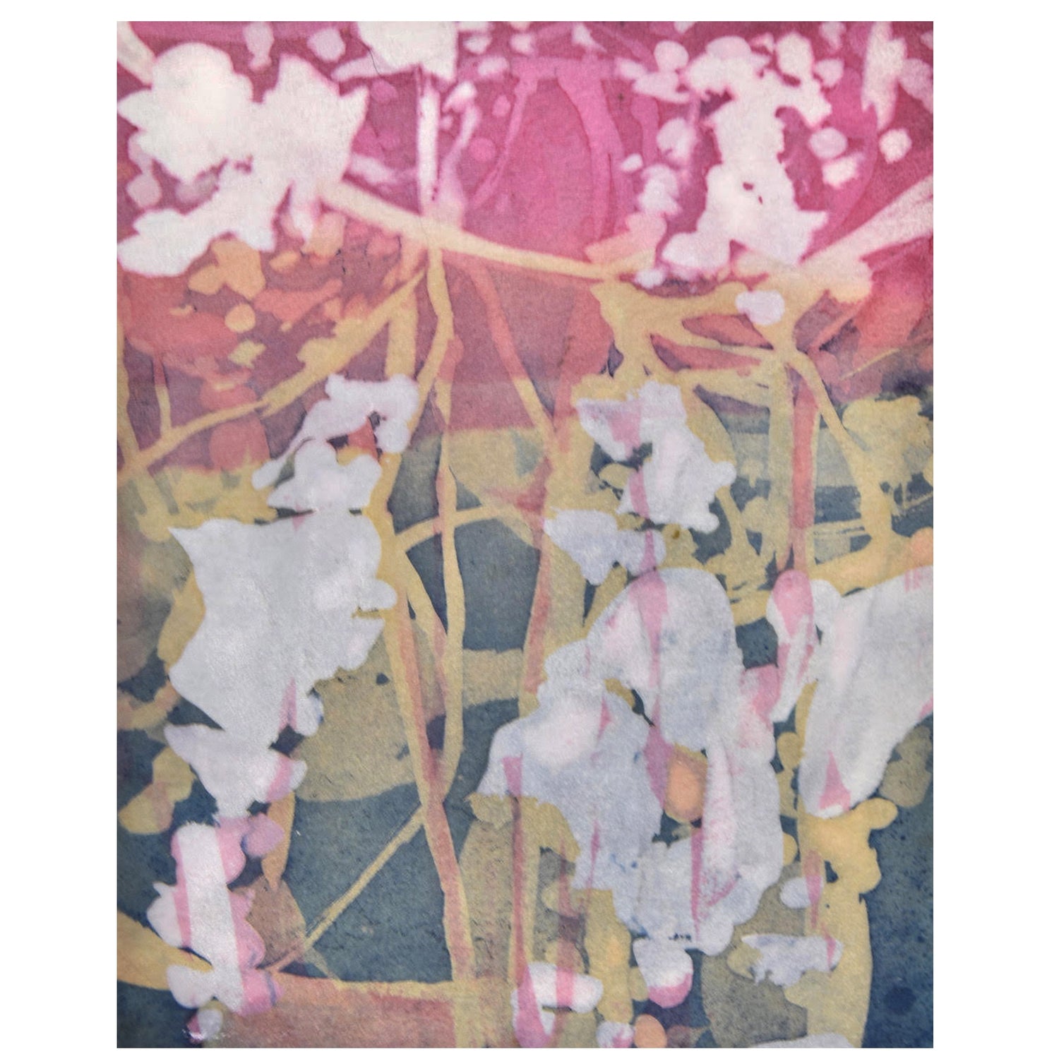 Catalpa 2, Emily Donovan, Natural Dye and Pigment on Paper (Cochineal, Lac, Tansy, Indigo), Framed