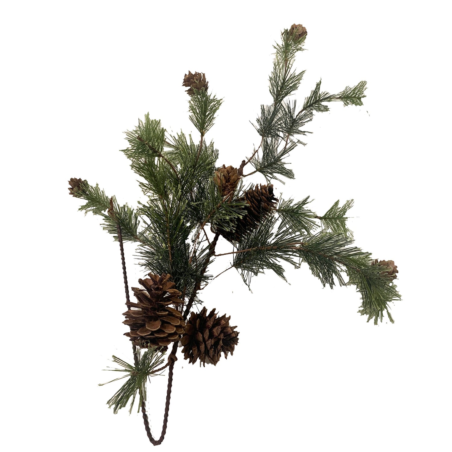 Pine Stem with Cones