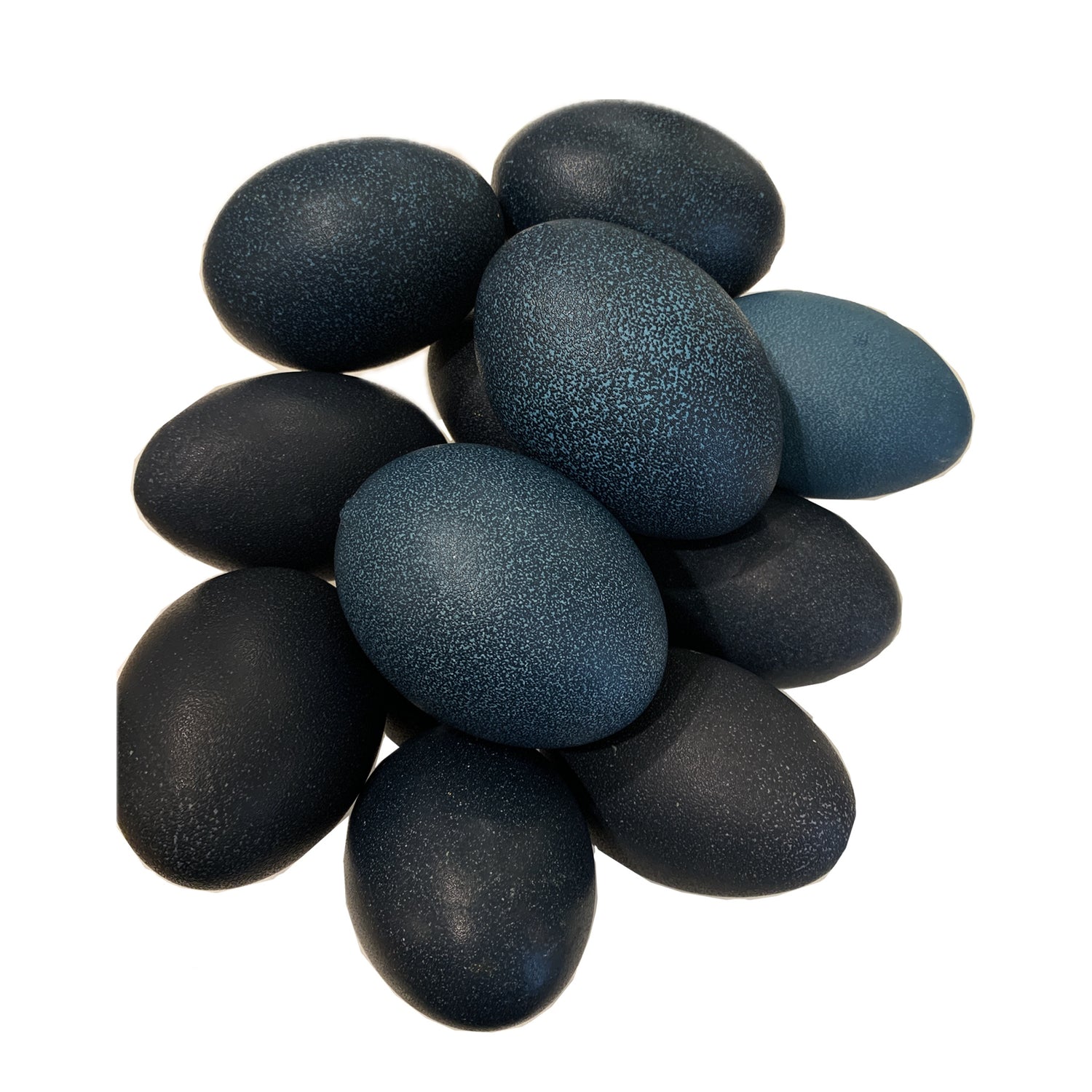 Emu Egg, Natural Green, Minnesota