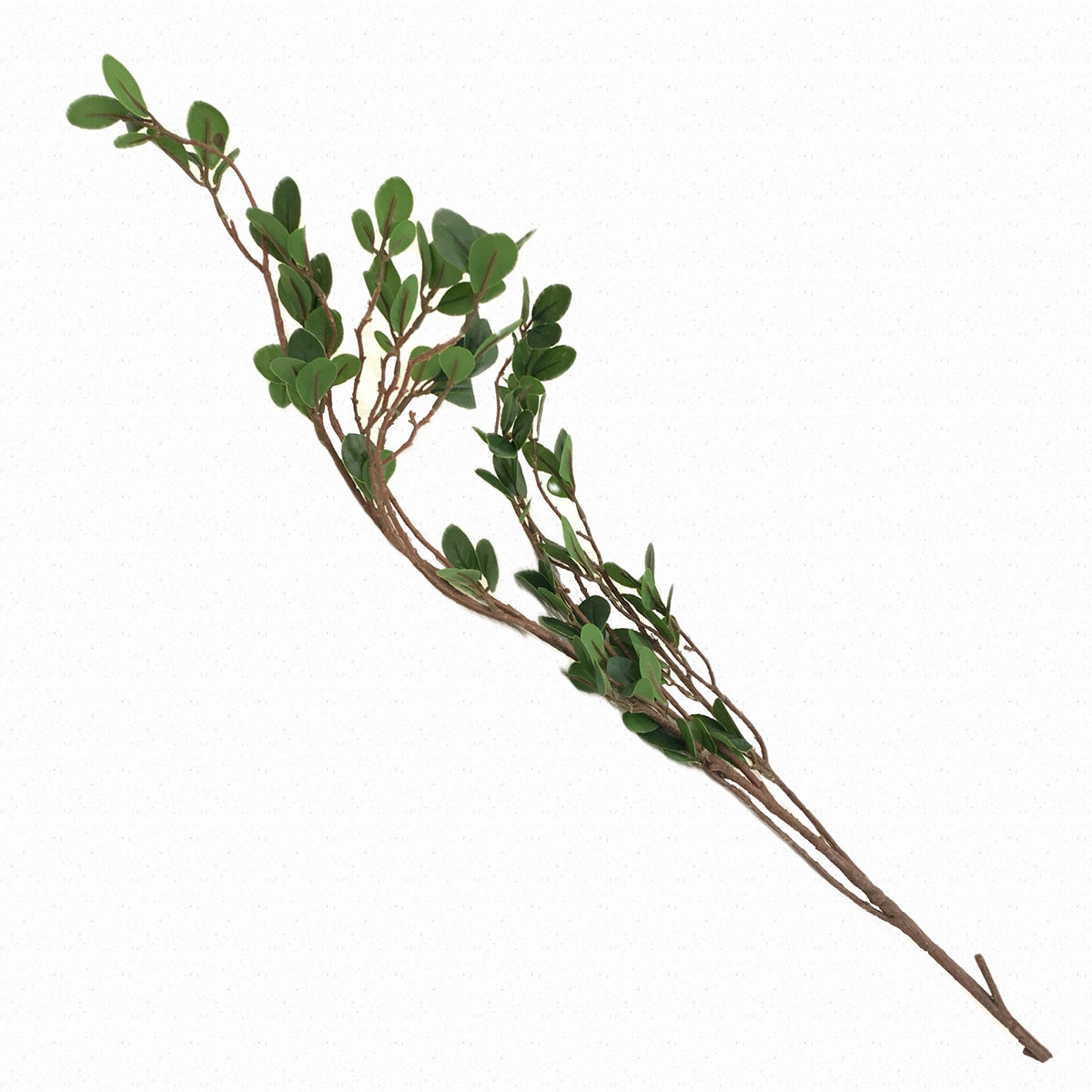 Small Leaf Stem, 42"L