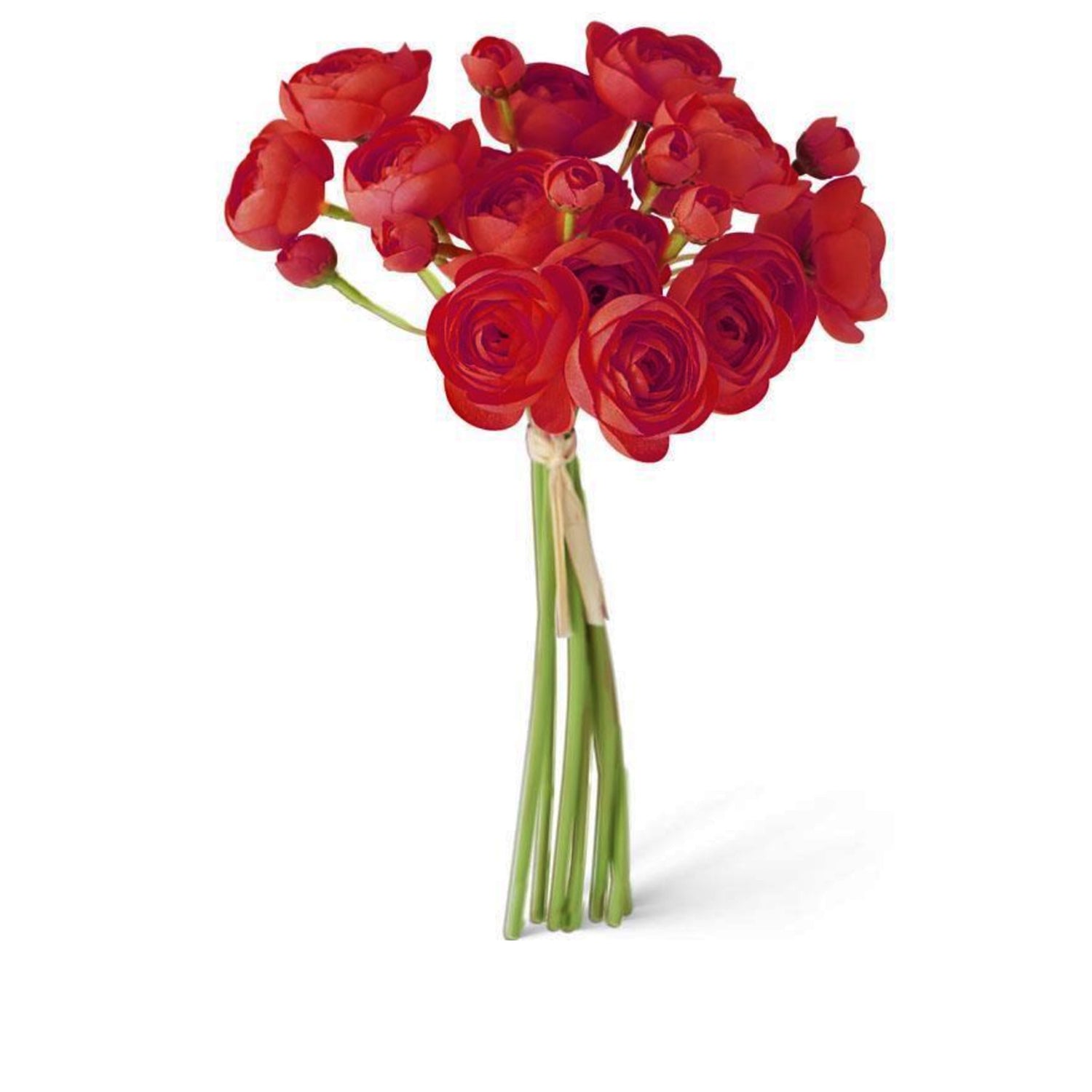 Ranunculus Bundle of 7, Red