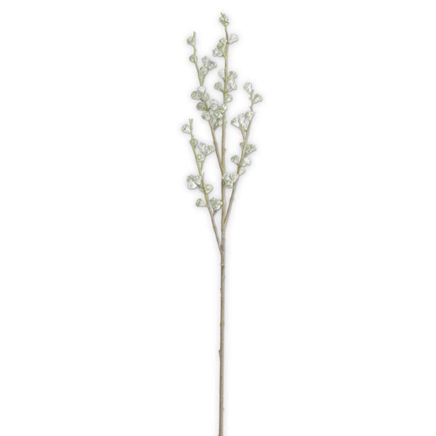 Eucalyptus Pod Stem, Powdered Green, 35"
