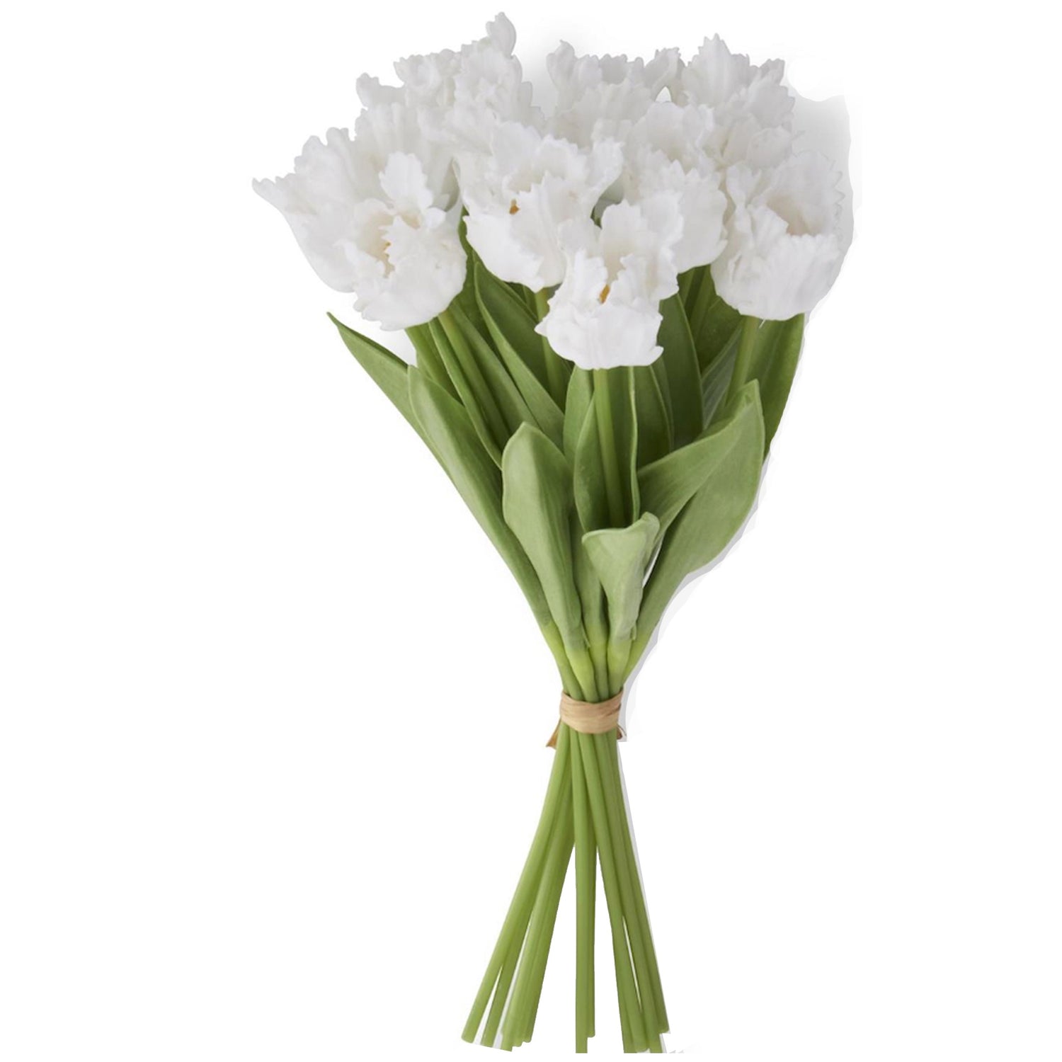 Real Touch Parrot Tulip, White, Bundle of 12, 13"