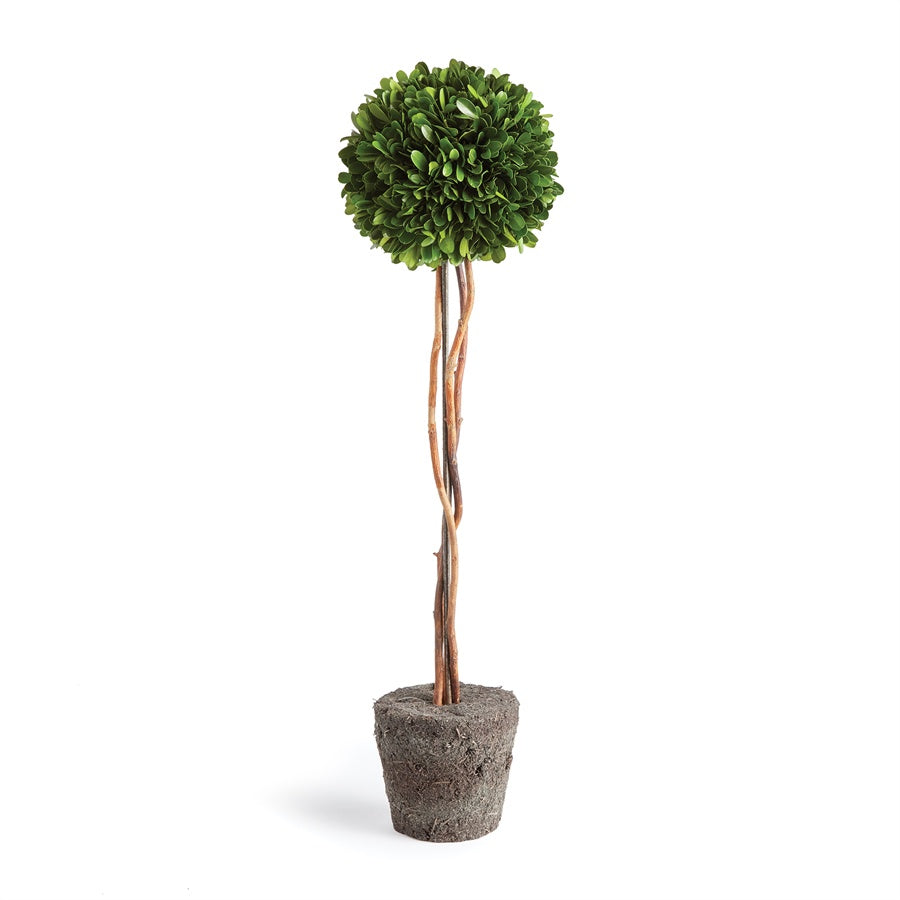 Boxwood Topiary Drop-In, 24"