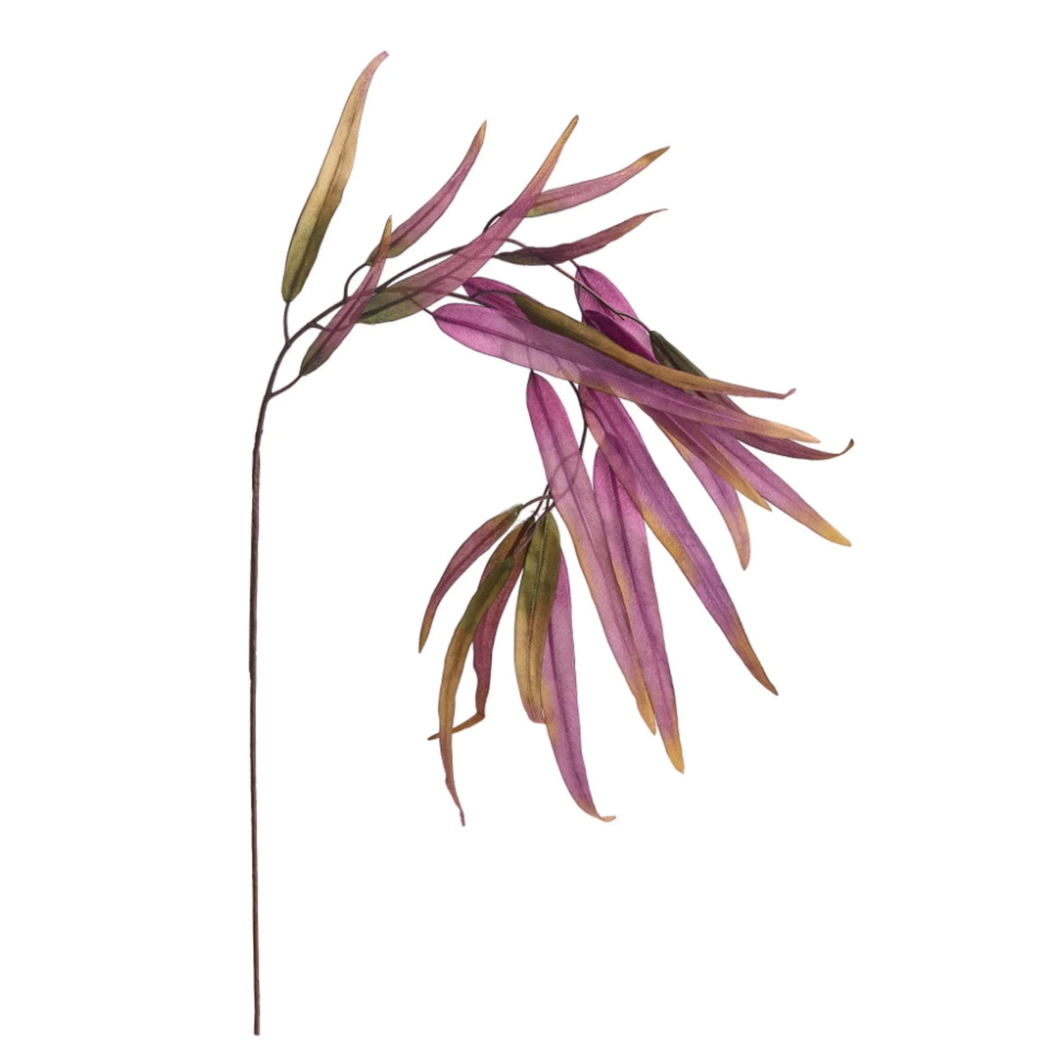 Willow Eucalyptus Stem, 37"