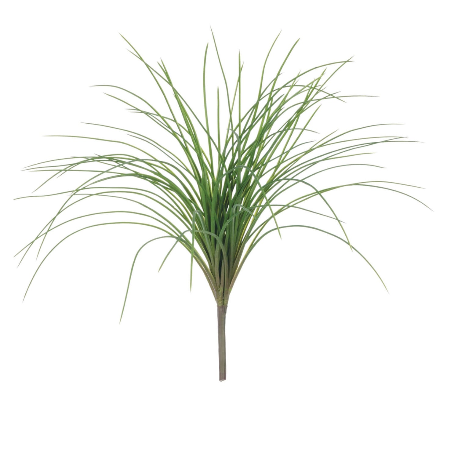Grass Spray, 18"h