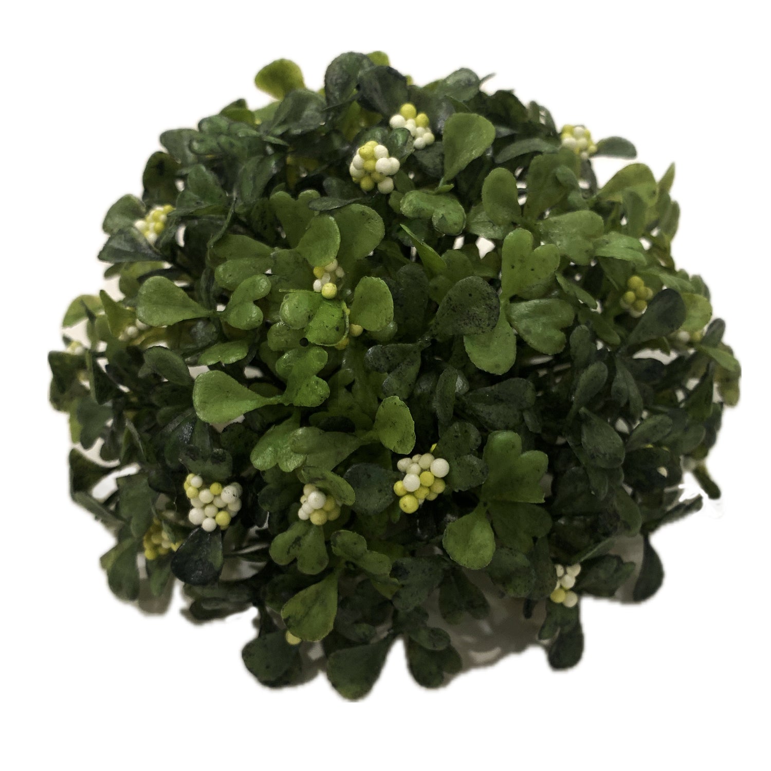 Boxwood Half Ball Dome