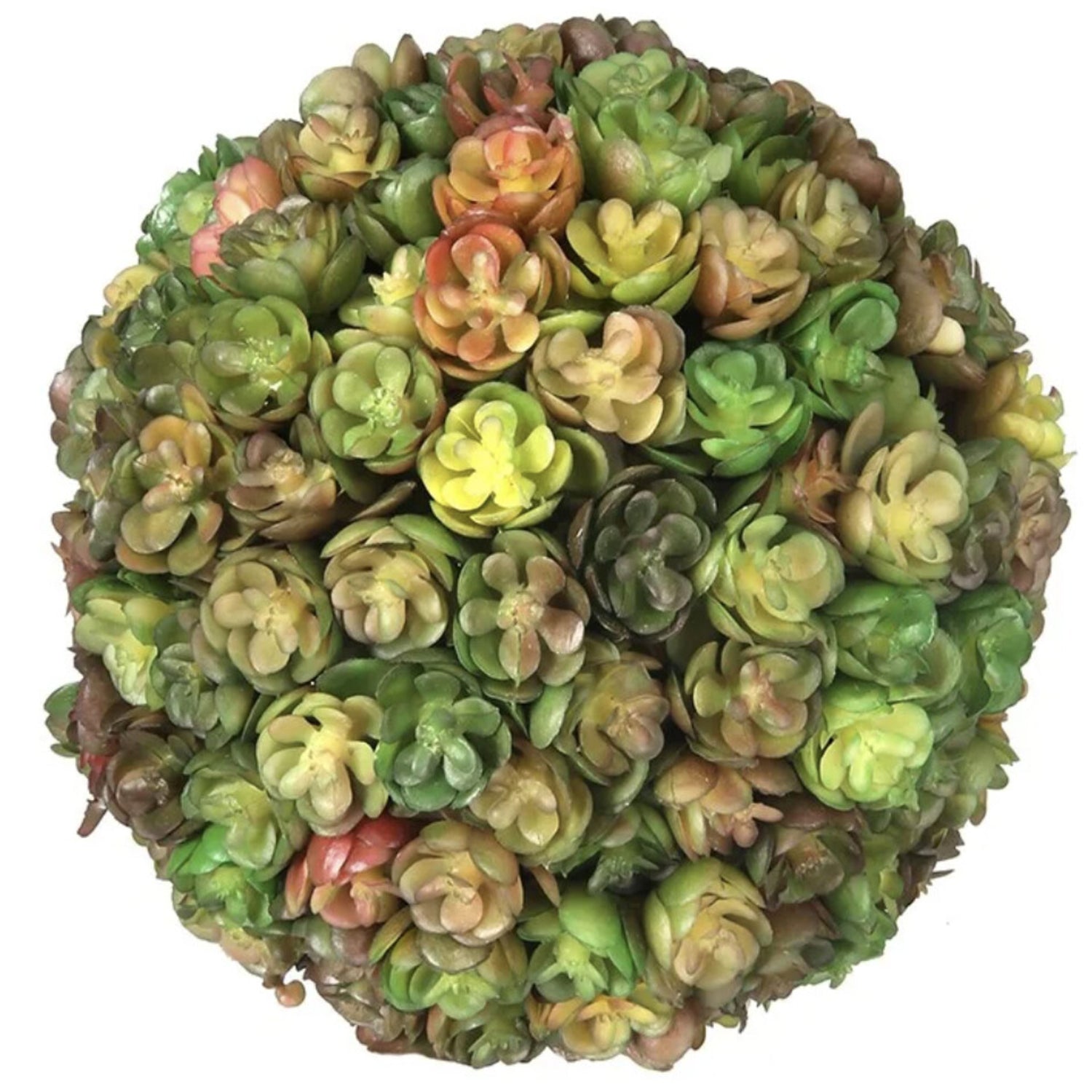 Succulent Orb, Multicolor
