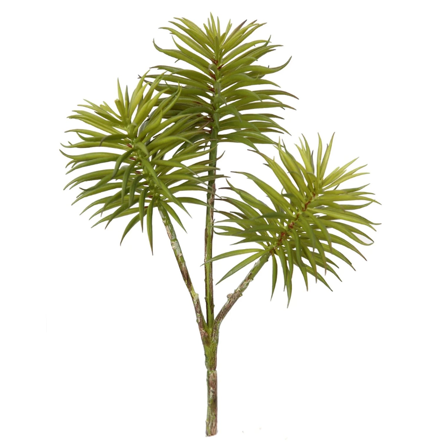 Yucca Succulent, Green, 9.5"h