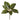 Magnolia Leaf Stem, 14"h