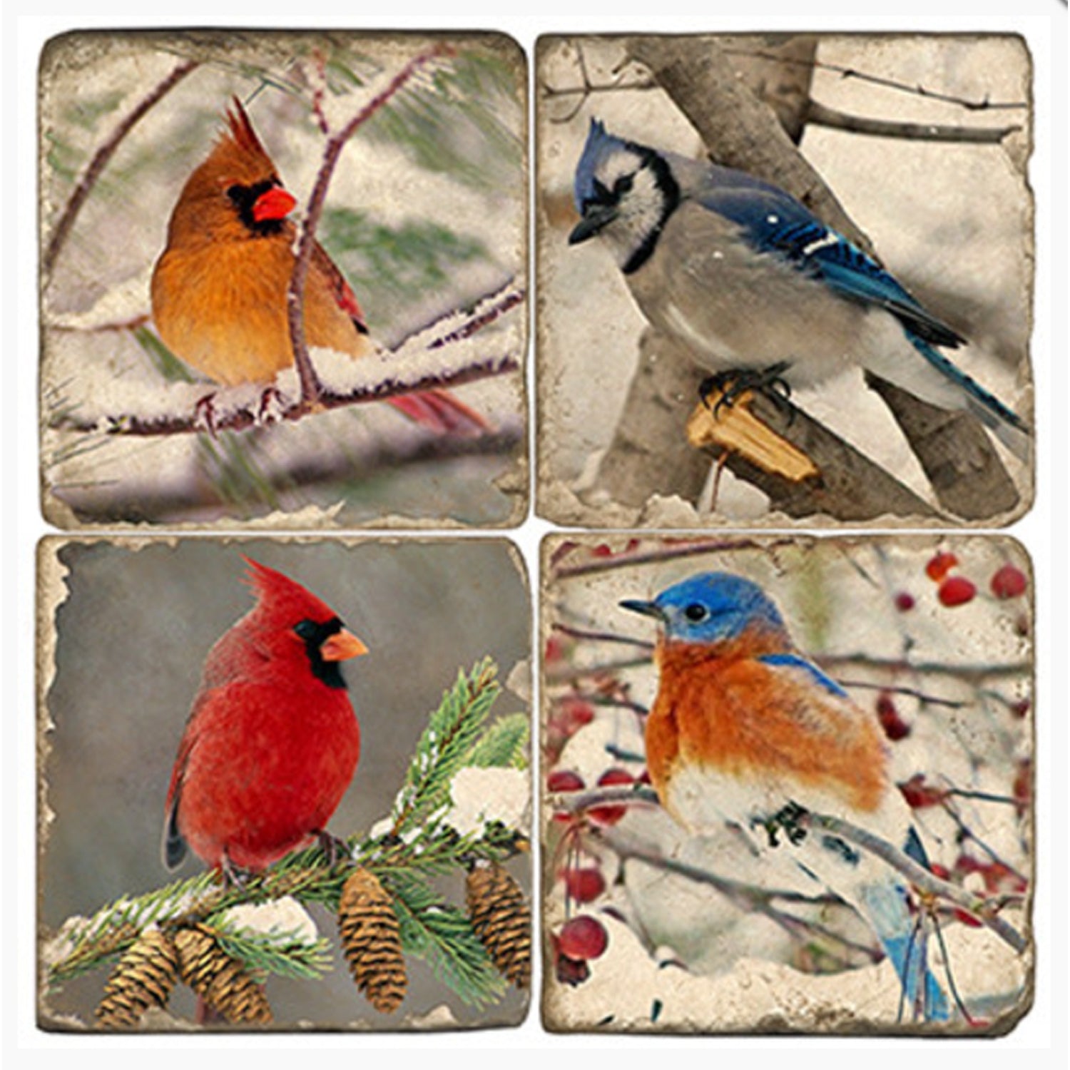 Stone Tile Coaster: Winter Birds