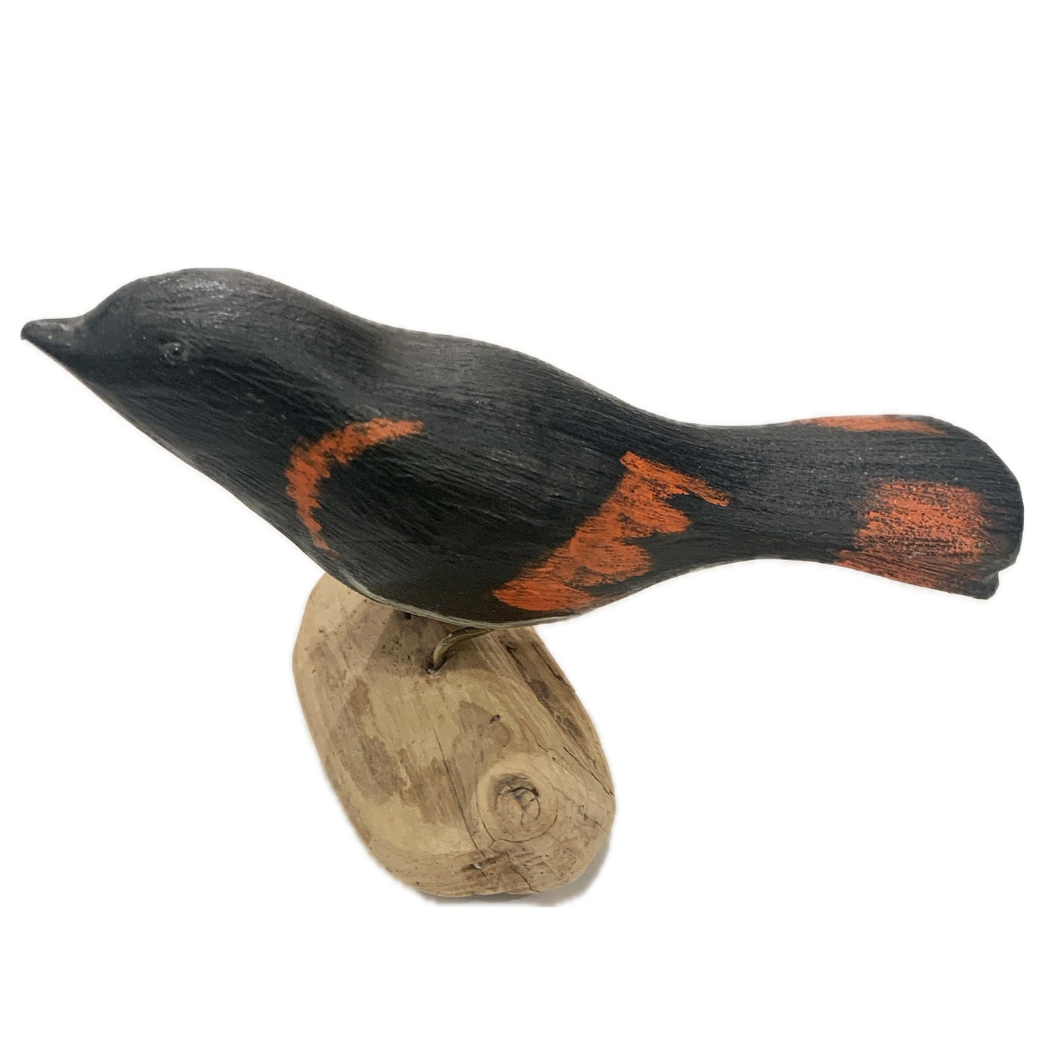 Black Wood Bird with Orange on Driftwood Base