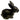 Matte Black Porcelain Bunny