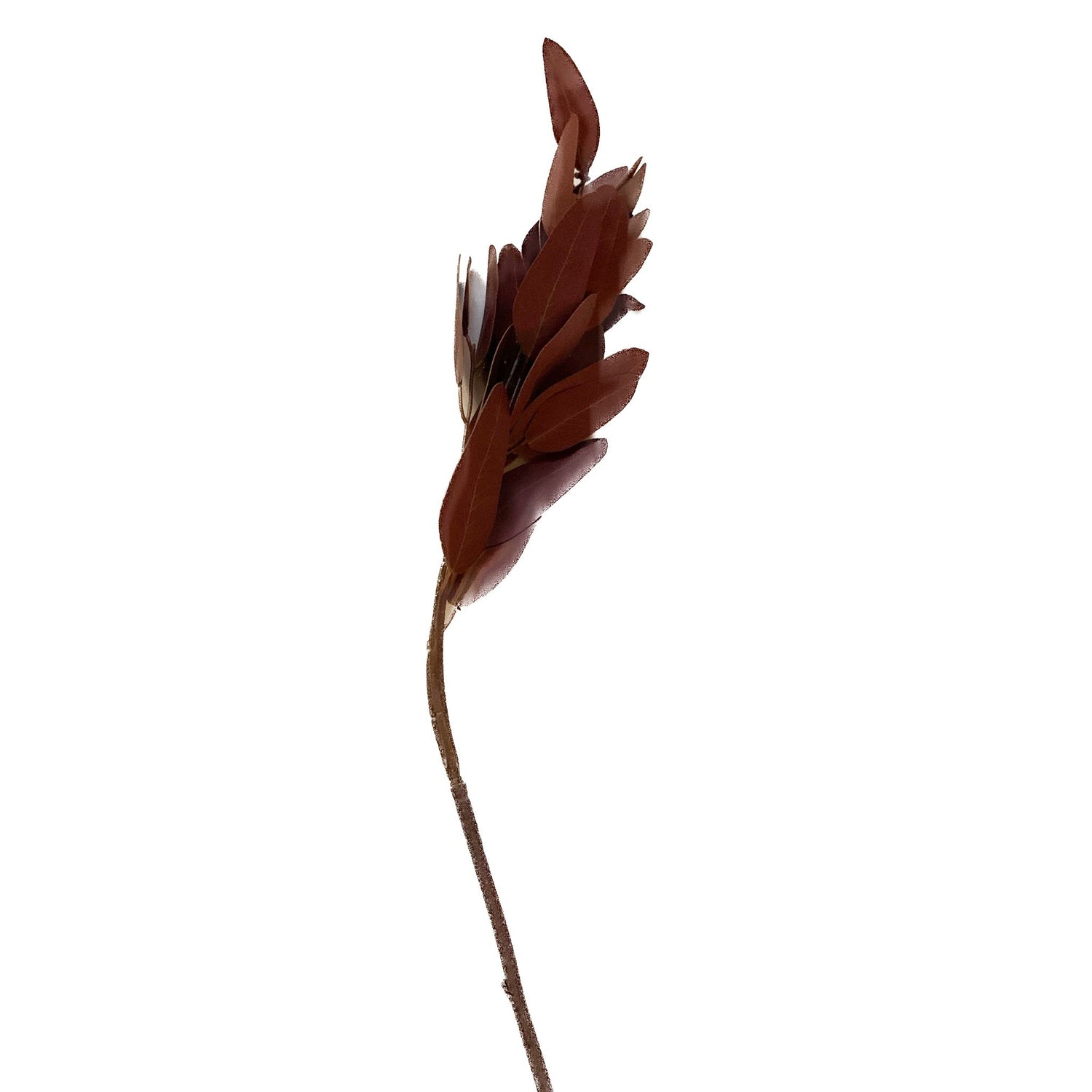 Burgundy Eucalyptus Spray, 32"L