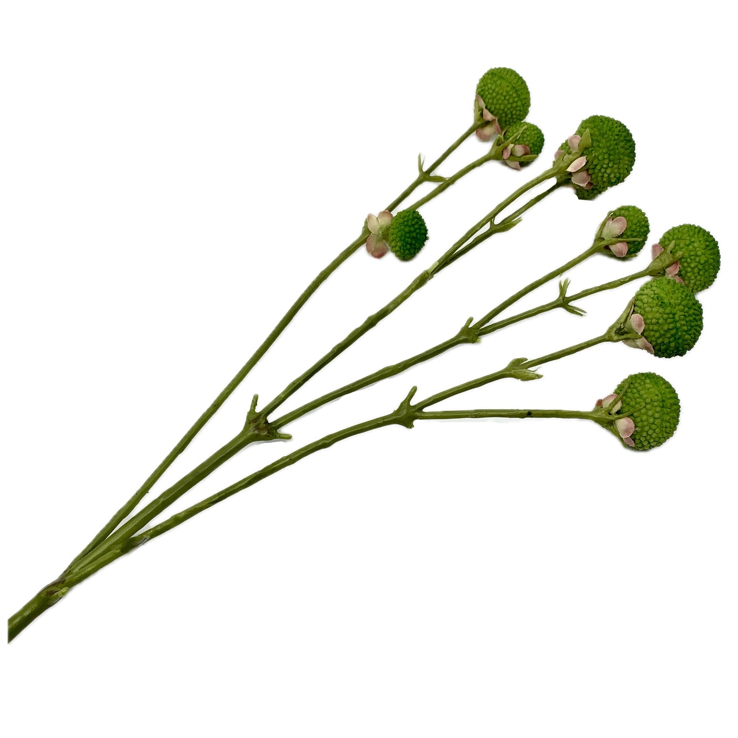 Moss Ball Spray, 20"h