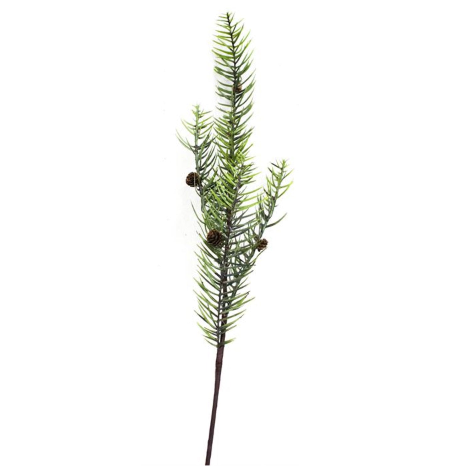 Pine Cone Branch, 40"