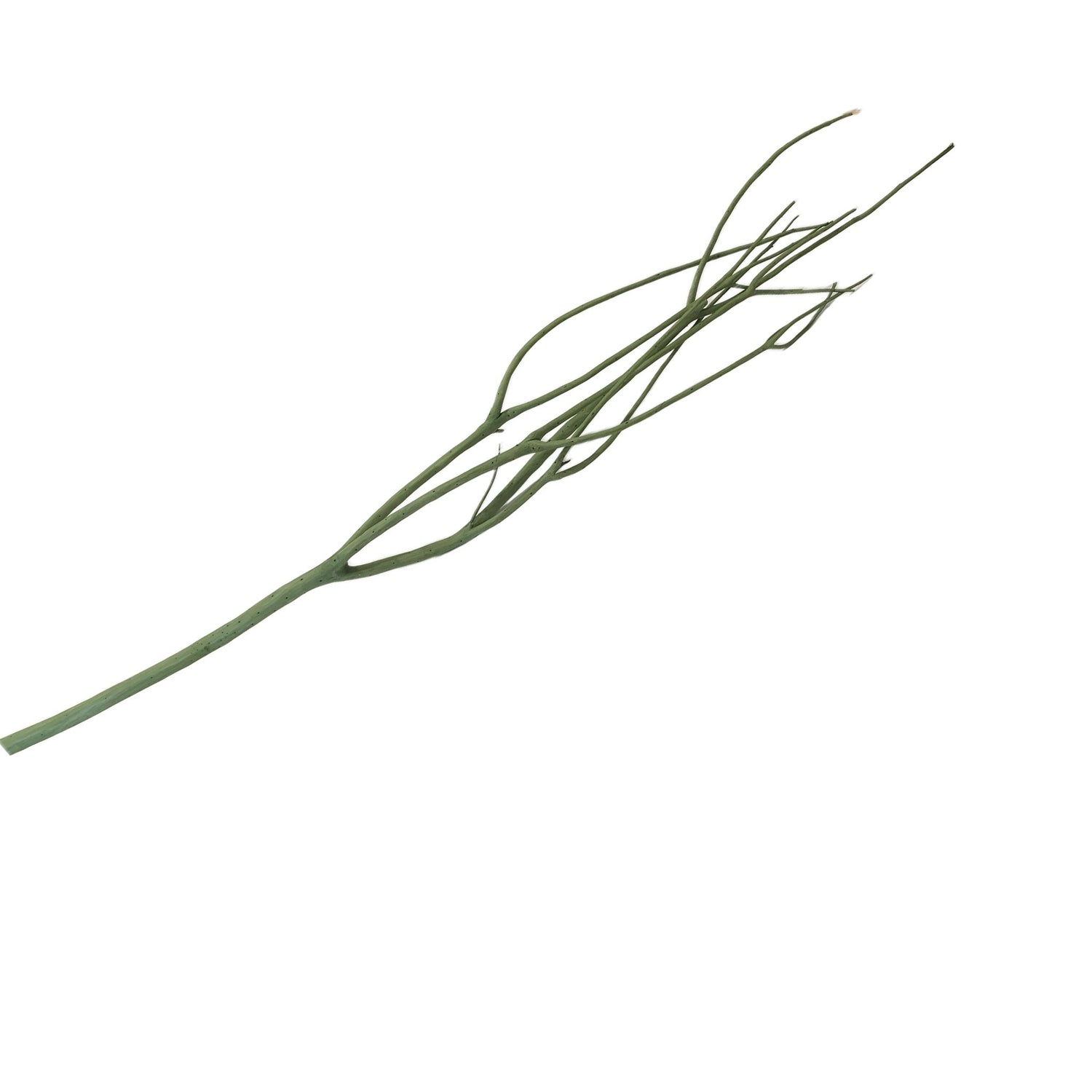 Green Branch, 55"