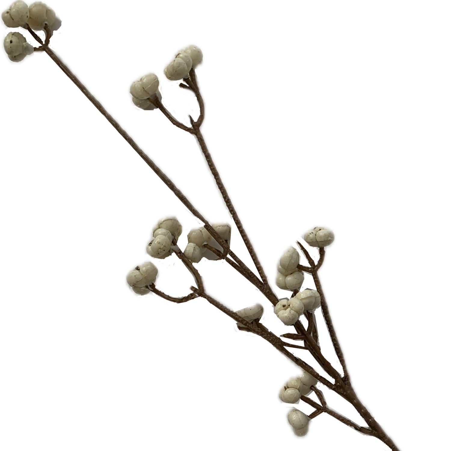 Tallow Berry Spray, 10"